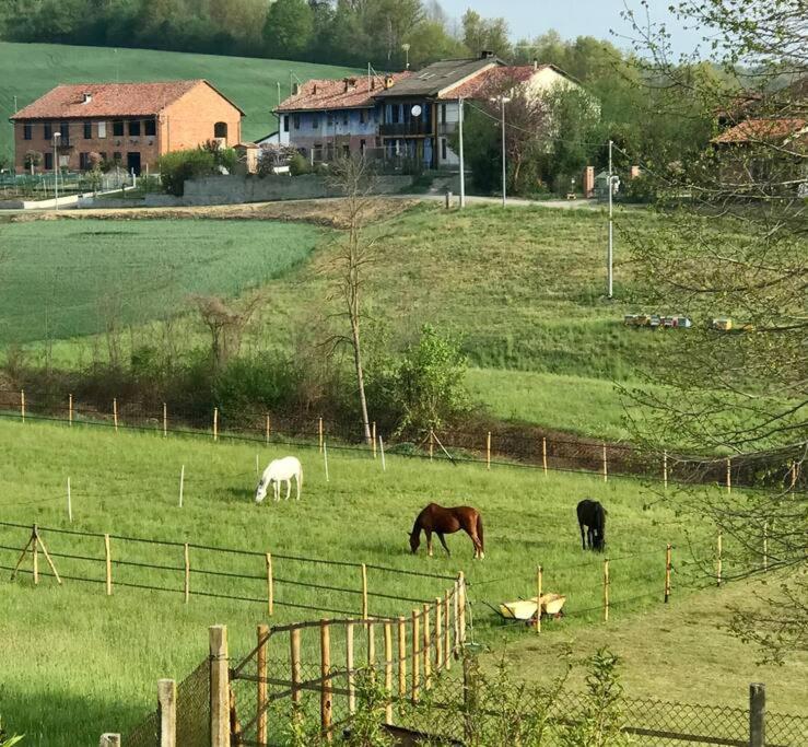 Appartamento in cascina - la cascinetta di Ali'- Roatto Esterno foto